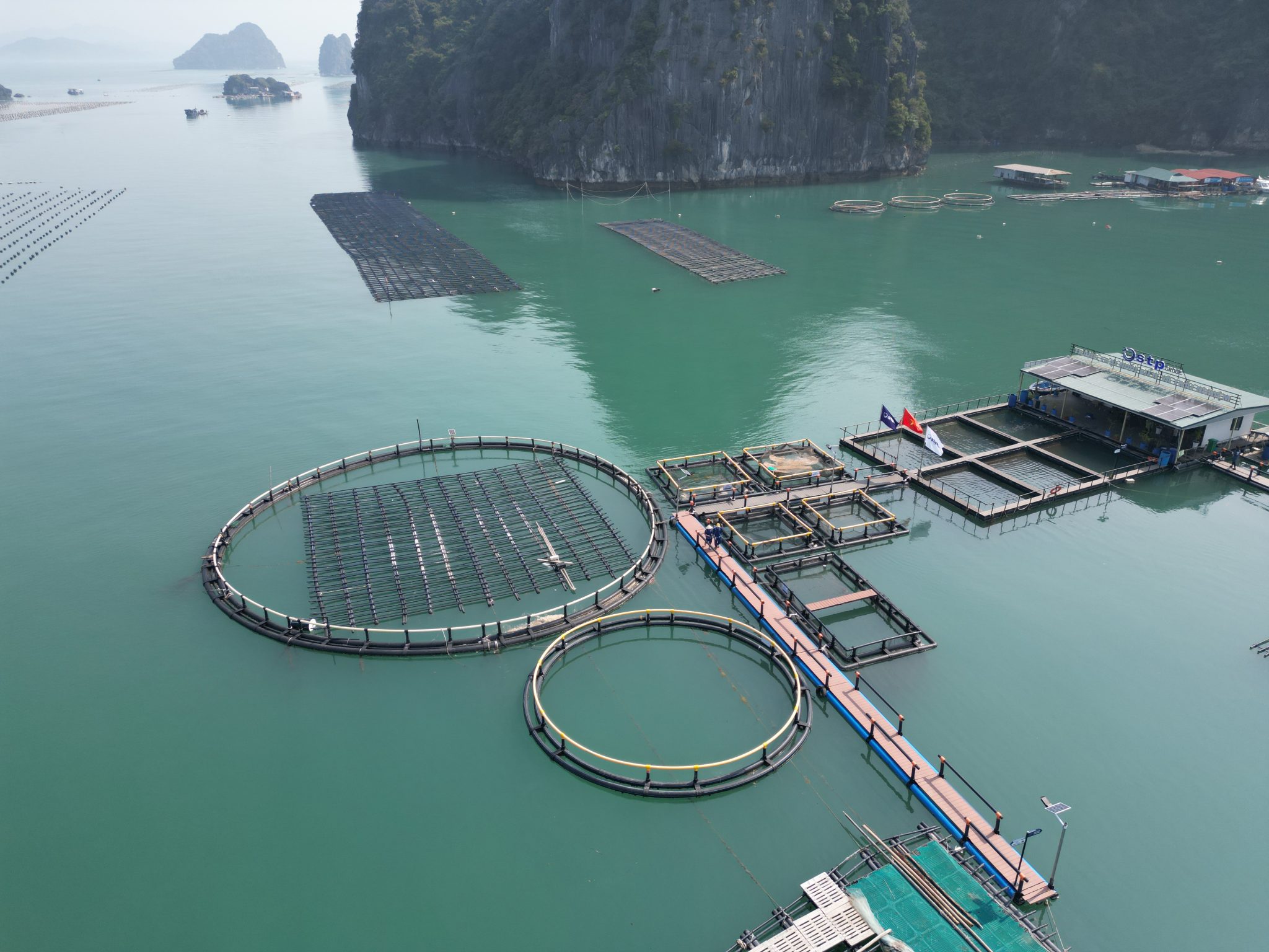 Khảo sát vùng nuôi